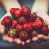 shallow focus photography of strawberries on person's palm